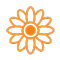 Gerberas
