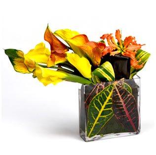 Flores con diseño para enviar