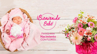 Flores para Nacimiento