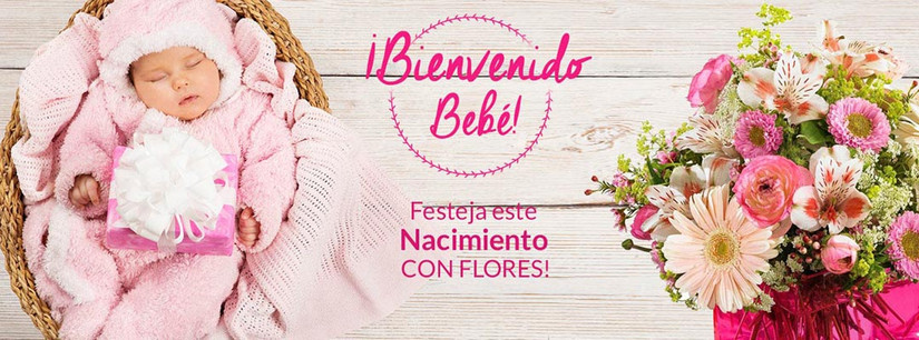 Flores para Nacimiento