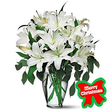 Holiday Lilies