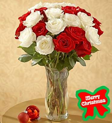 Red & White Colombian Roses