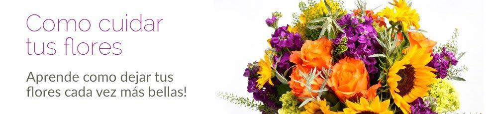 ¿Como cuidar las flores?